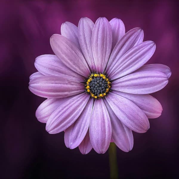 Is a Bespoke Recruitment Agency Website Worth It?